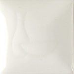 Envision Clear® - Mayco
